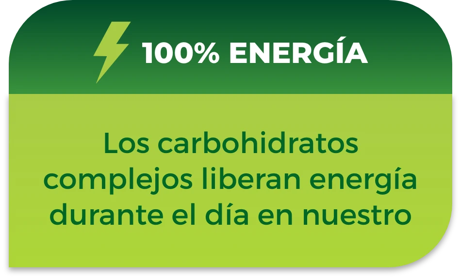 100% Energía